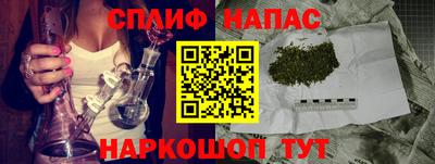 гашик Бузулук